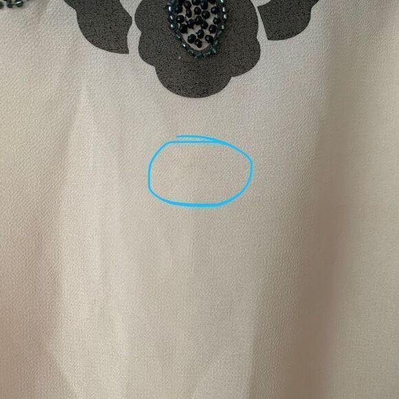 Express | Sheer Embellished Top - Picture 7 of 10